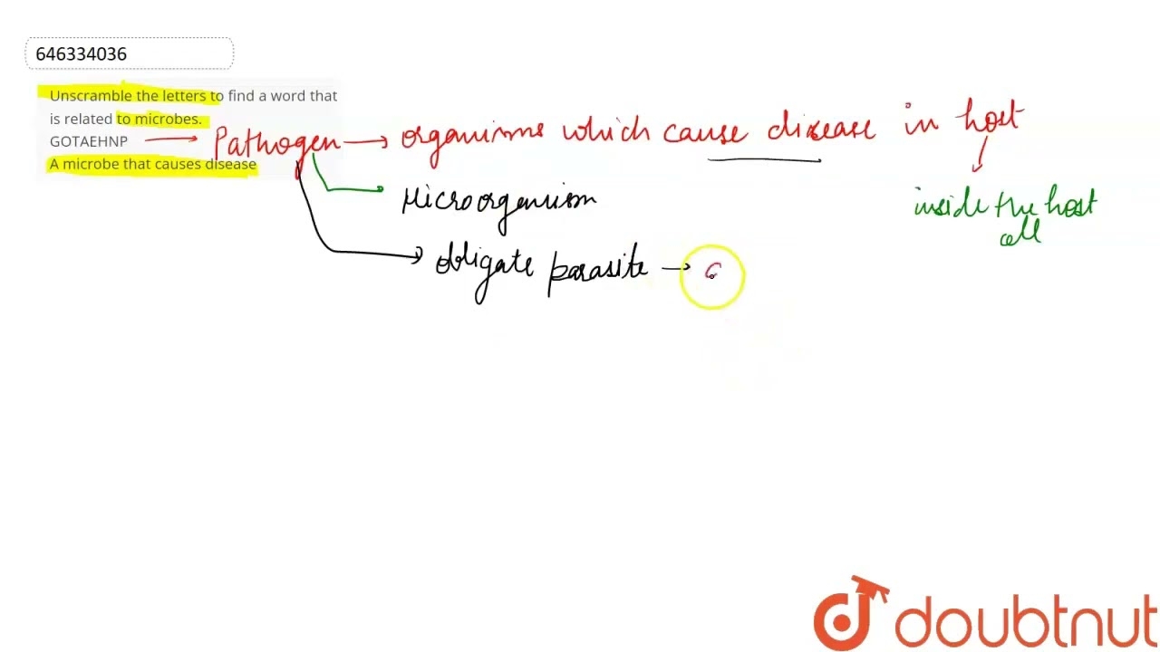 Unscramble The Letters To Find A Word That Is Related To Microbes GOTAEHNP A Microbe That Cause YouTube