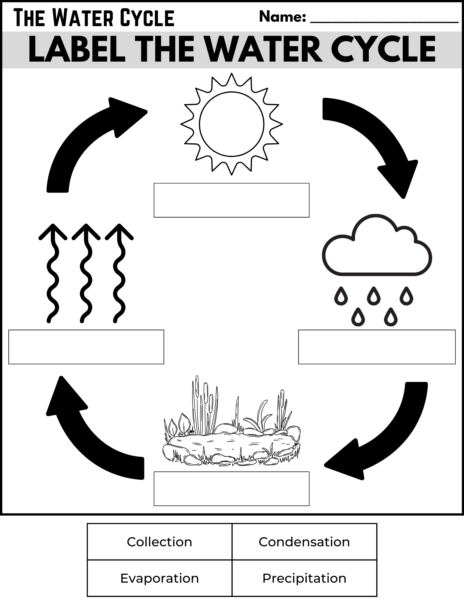 Free Printable Water Cycle Worksheets