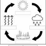 Water Cycle Printables Teaching Mama