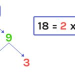 What Are The Factors Of 18 Instant Answer Mashup Math