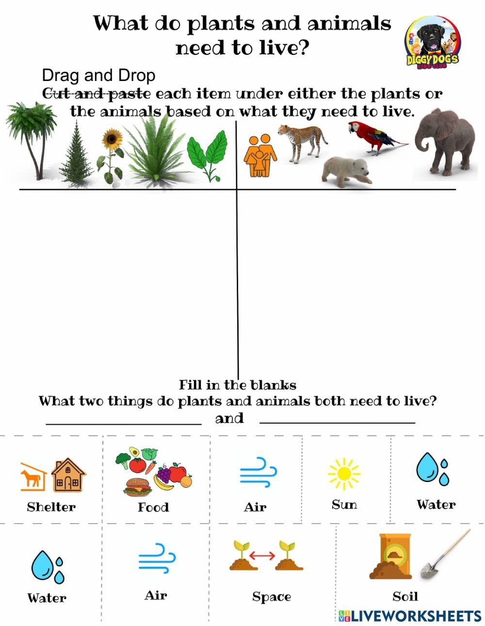 What Do Plants And Animals Need To Live Online Exercise For Worksheets Library What Do Plants And Animals Need To Live Online Exercise For Worksheets Library