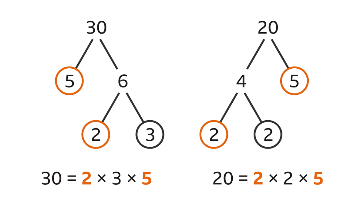 prime factor of 18 prime factor of 18