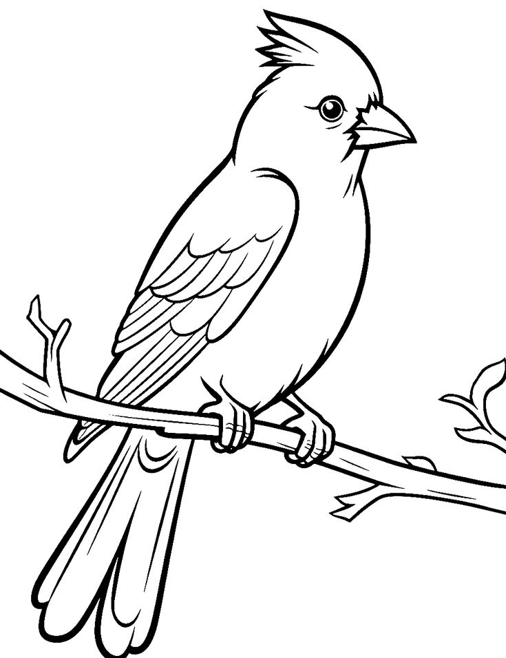50 Bird Coloring Pages Free Printable Sheets 50 Bird Coloring Pages Free Printable Sheets
