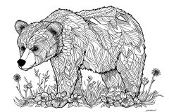 animal coloring pages free animal coloring pages free