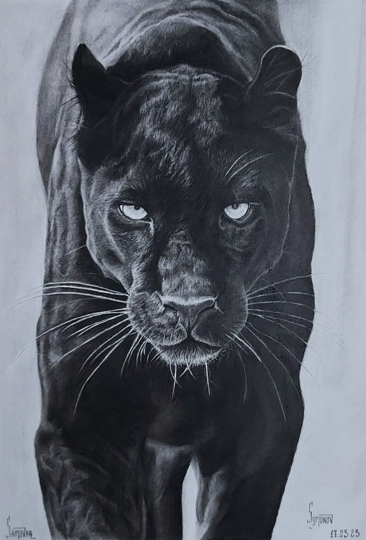 Black Panther Tattoo Ideas Black Panther Tattoo Ideas