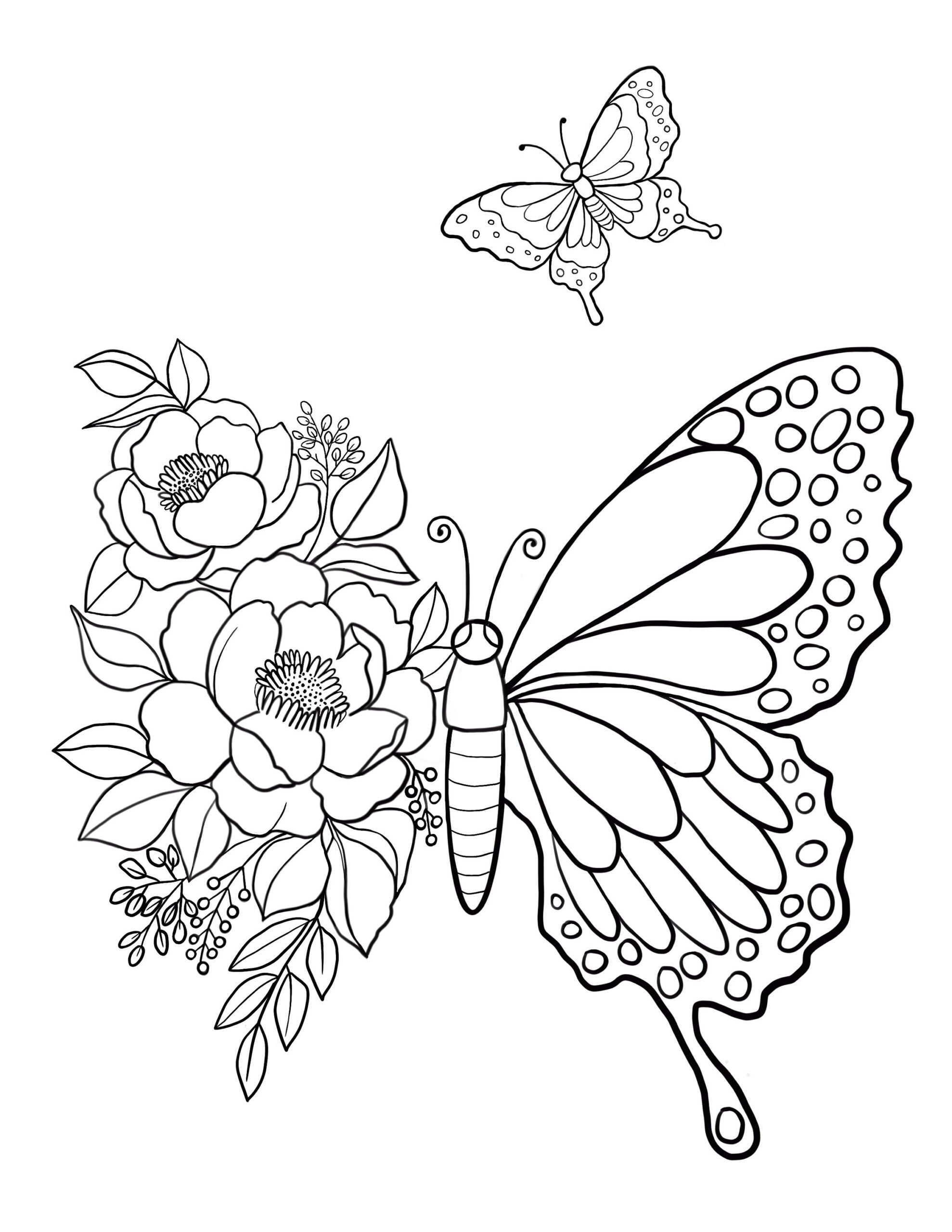 Butterflies Coloring Pages Printable