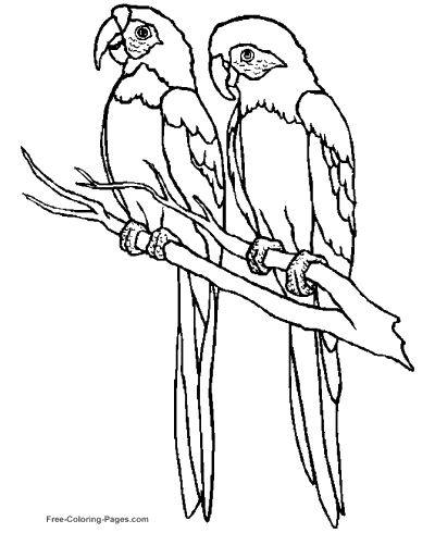 Coloring Pages Of Birds Coloring Pages Of Birds