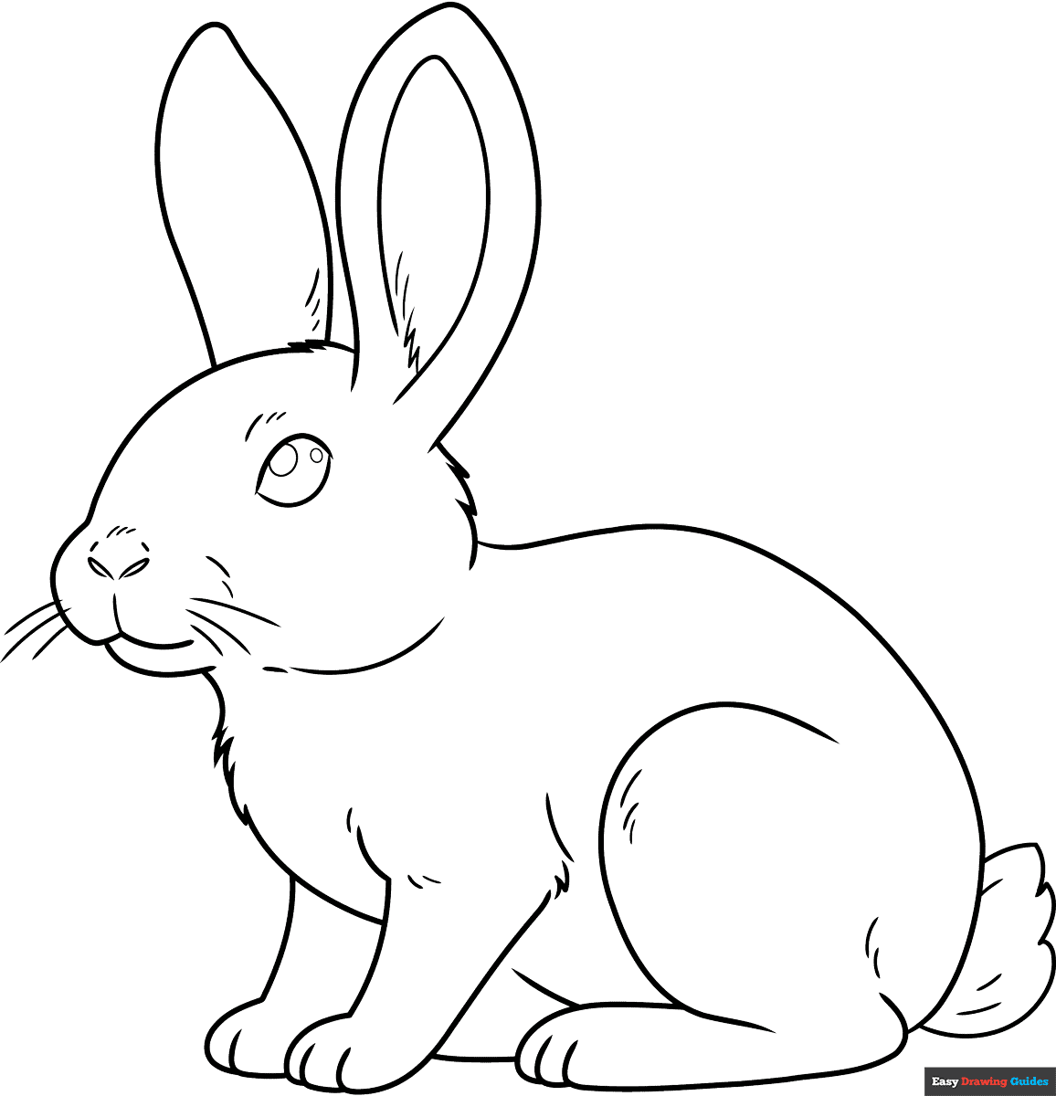 bunny images to color