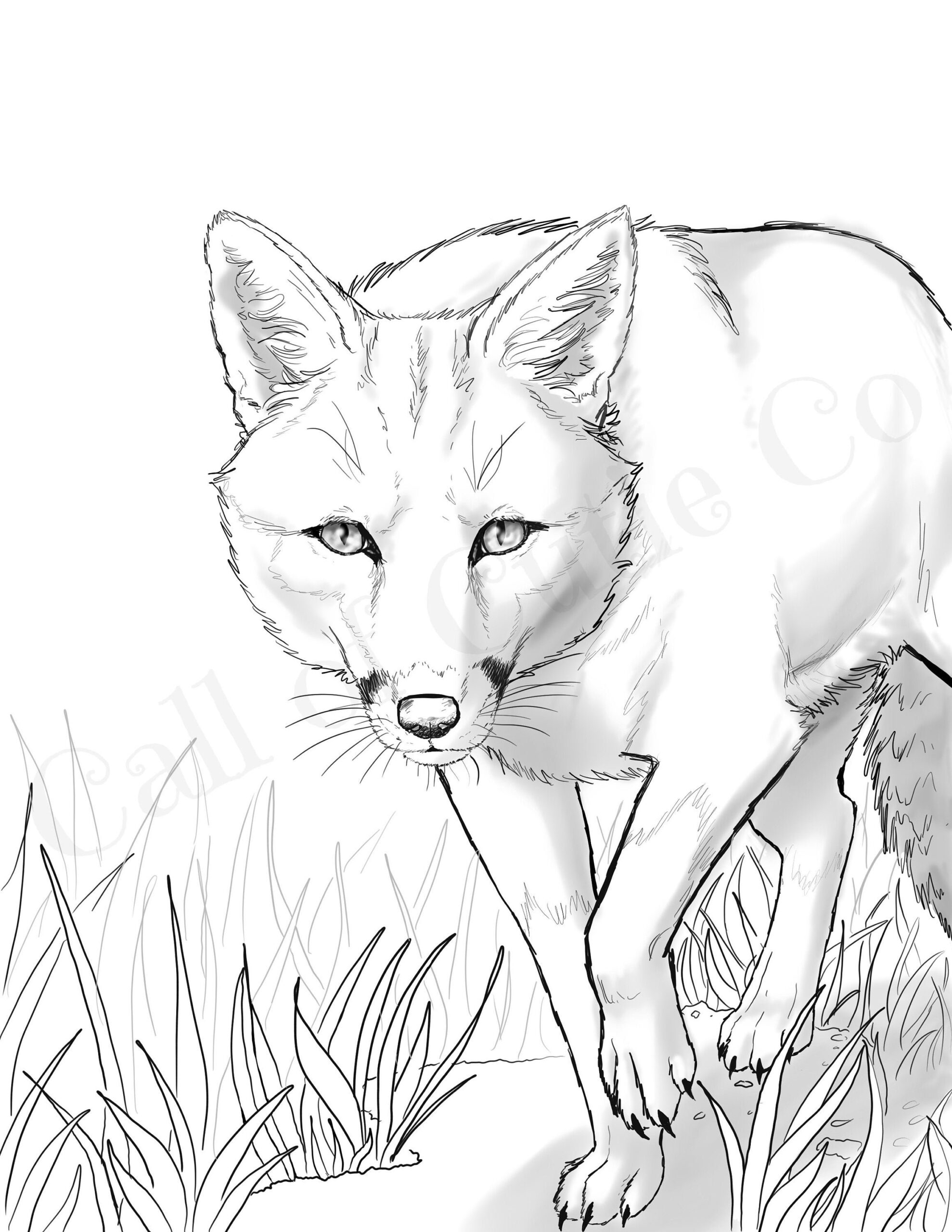 coloring page for fox