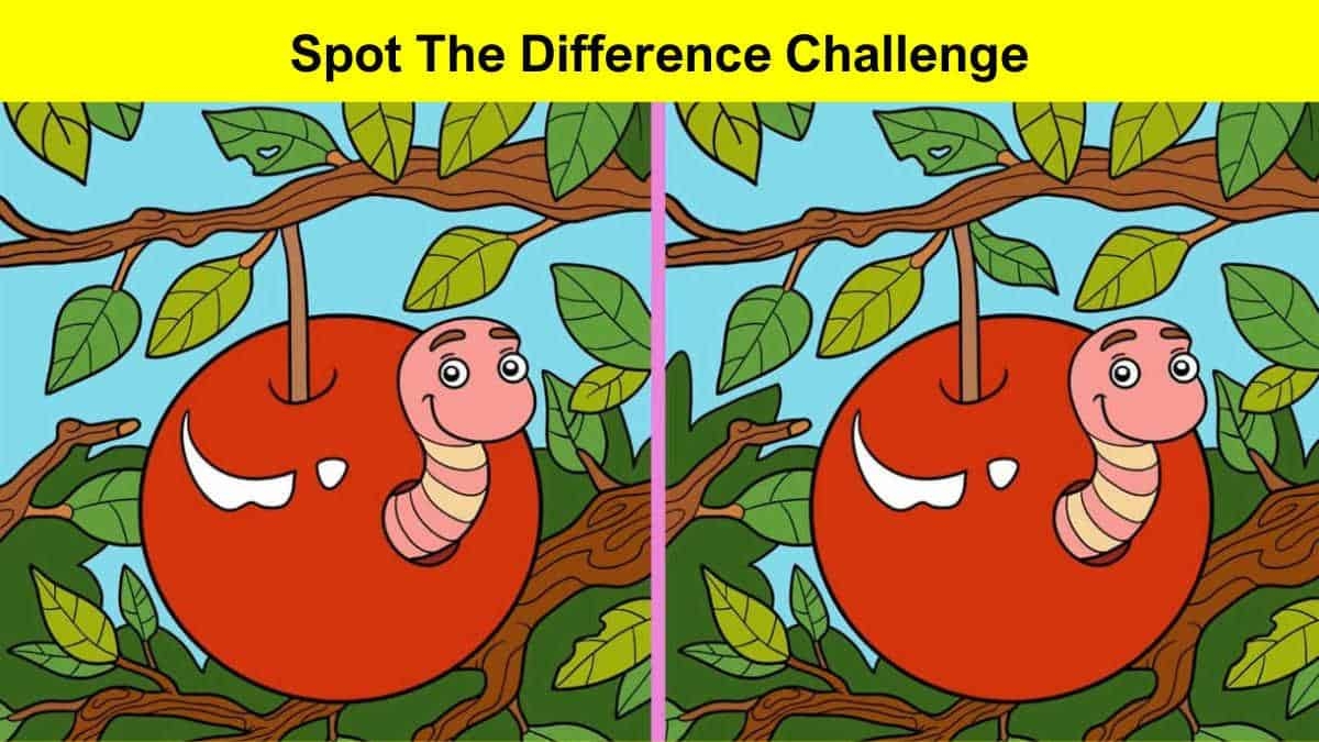 10 Super Fun Spot The Difference Puzzles To Test Your Visual Skills 