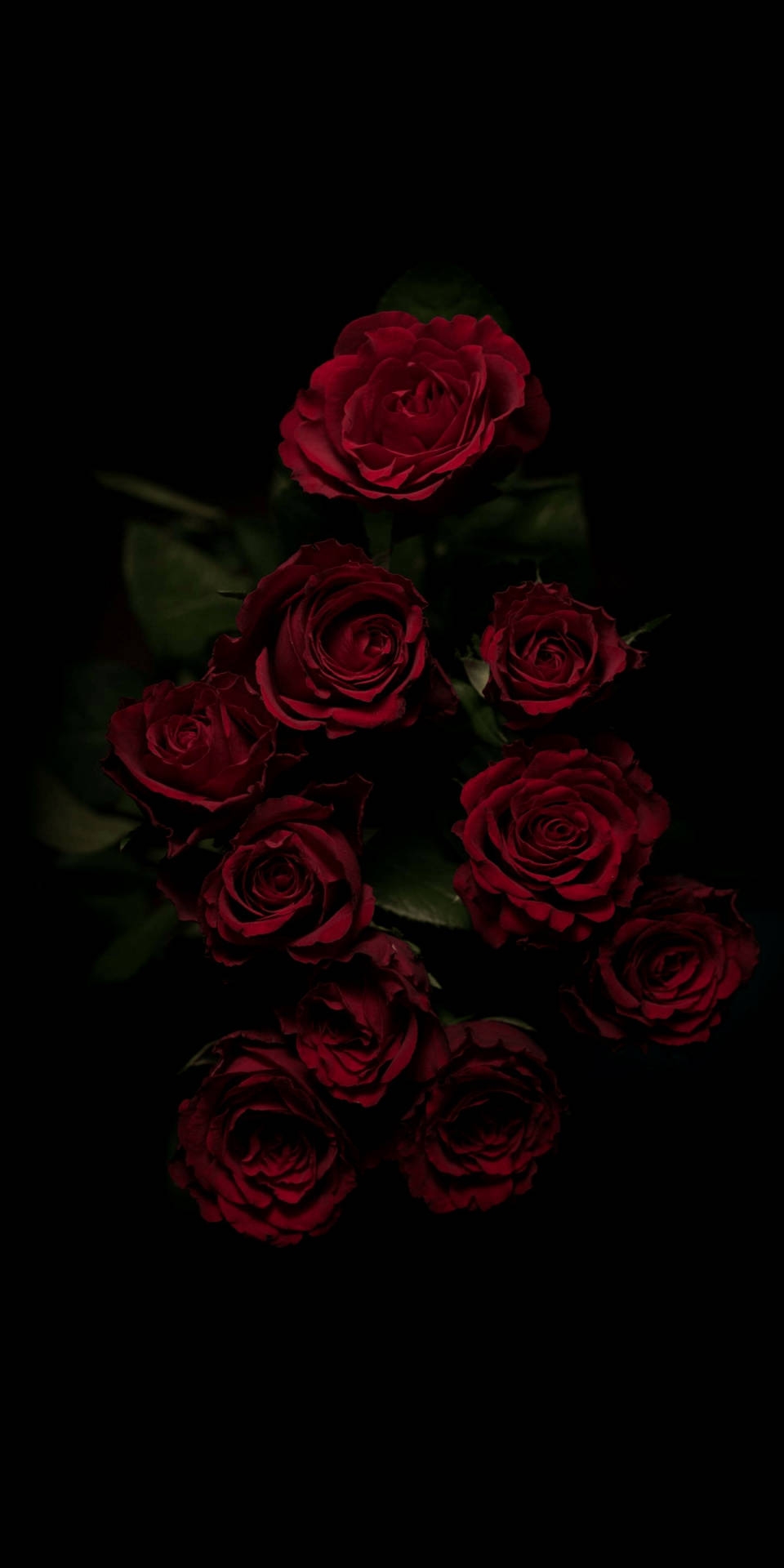 100 Dark Floral Wallpapers Wallpapers 100 Dark Floral Wallpapers Wallpapers