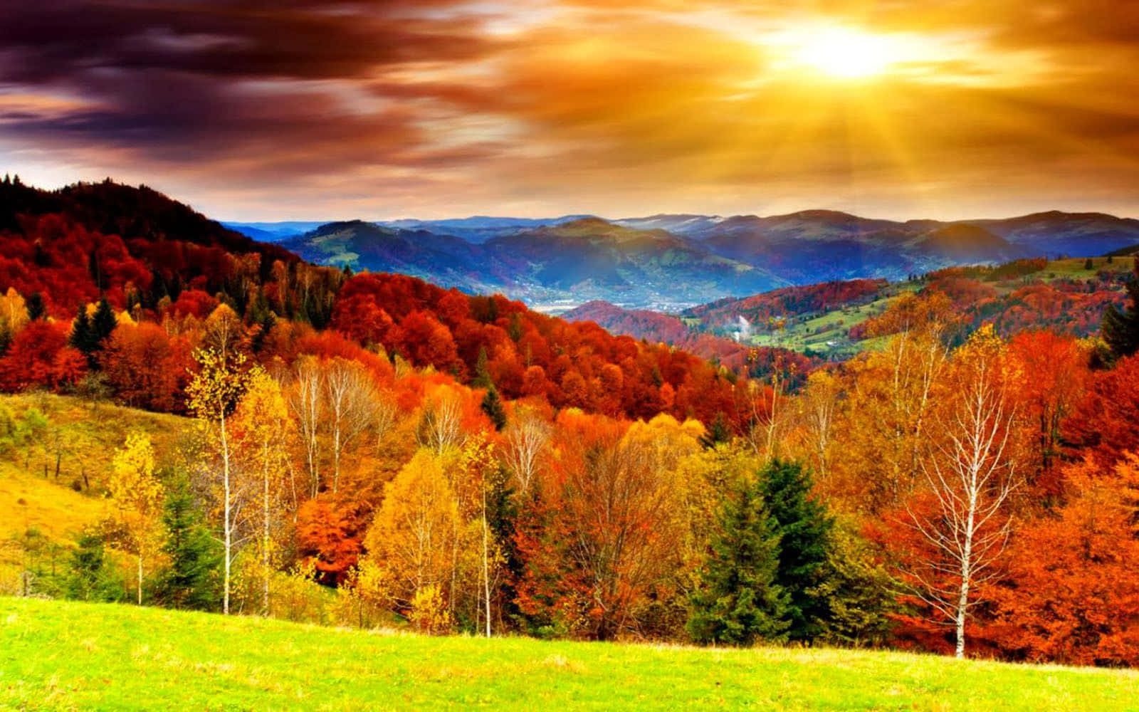 100 Fall Computer Backgrounds Wallpapers