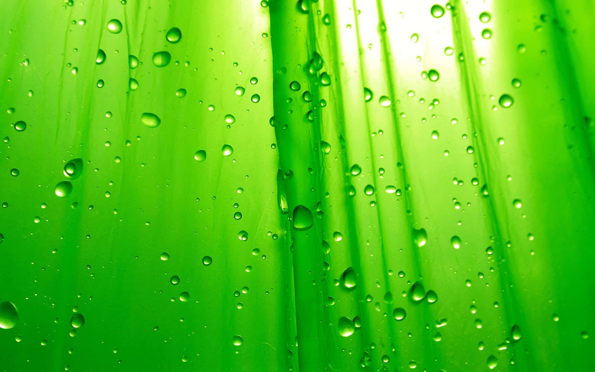 100 Green Color Backgrounds Wallpapers 100 Green Color Backgrounds Wallpapers