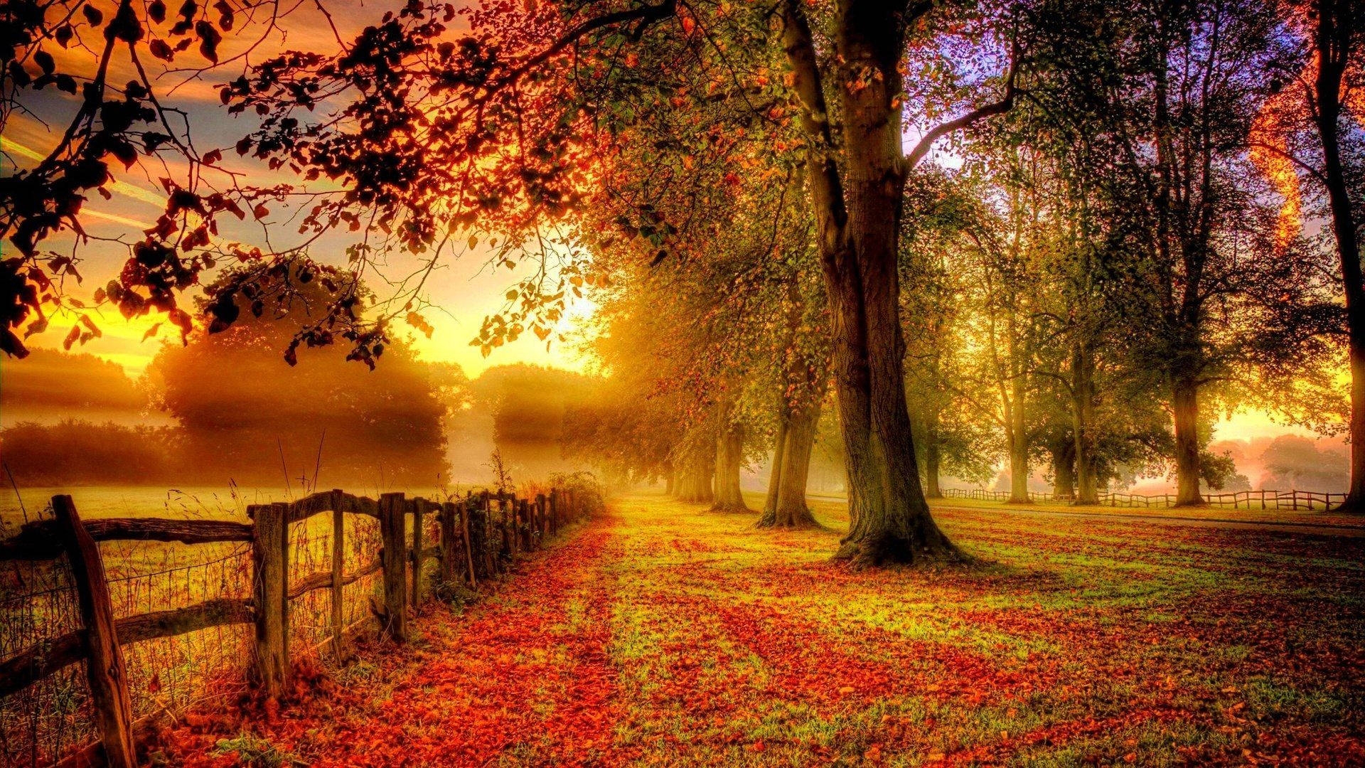 Fall Wallpaper For Pc