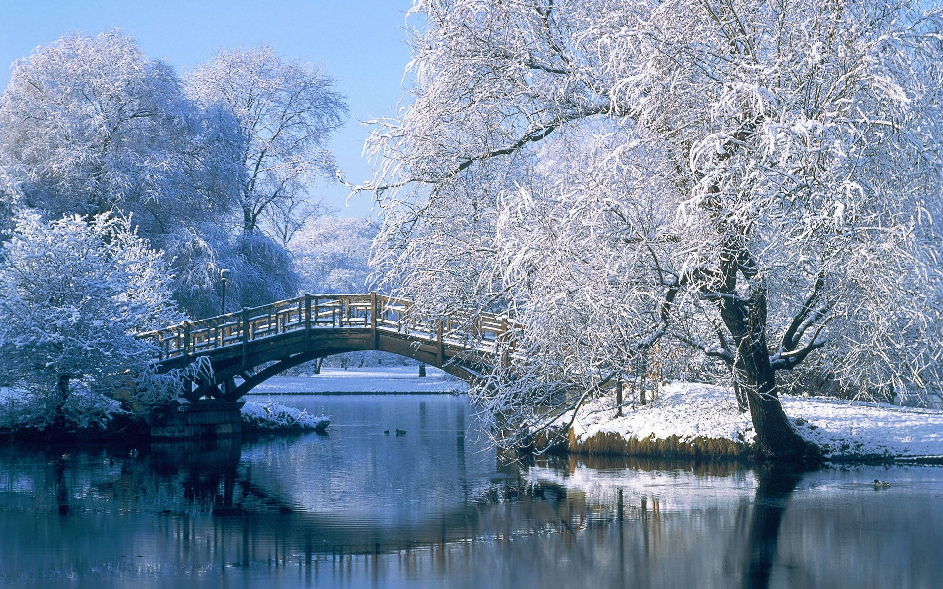 Winter Wallpaper For Computer