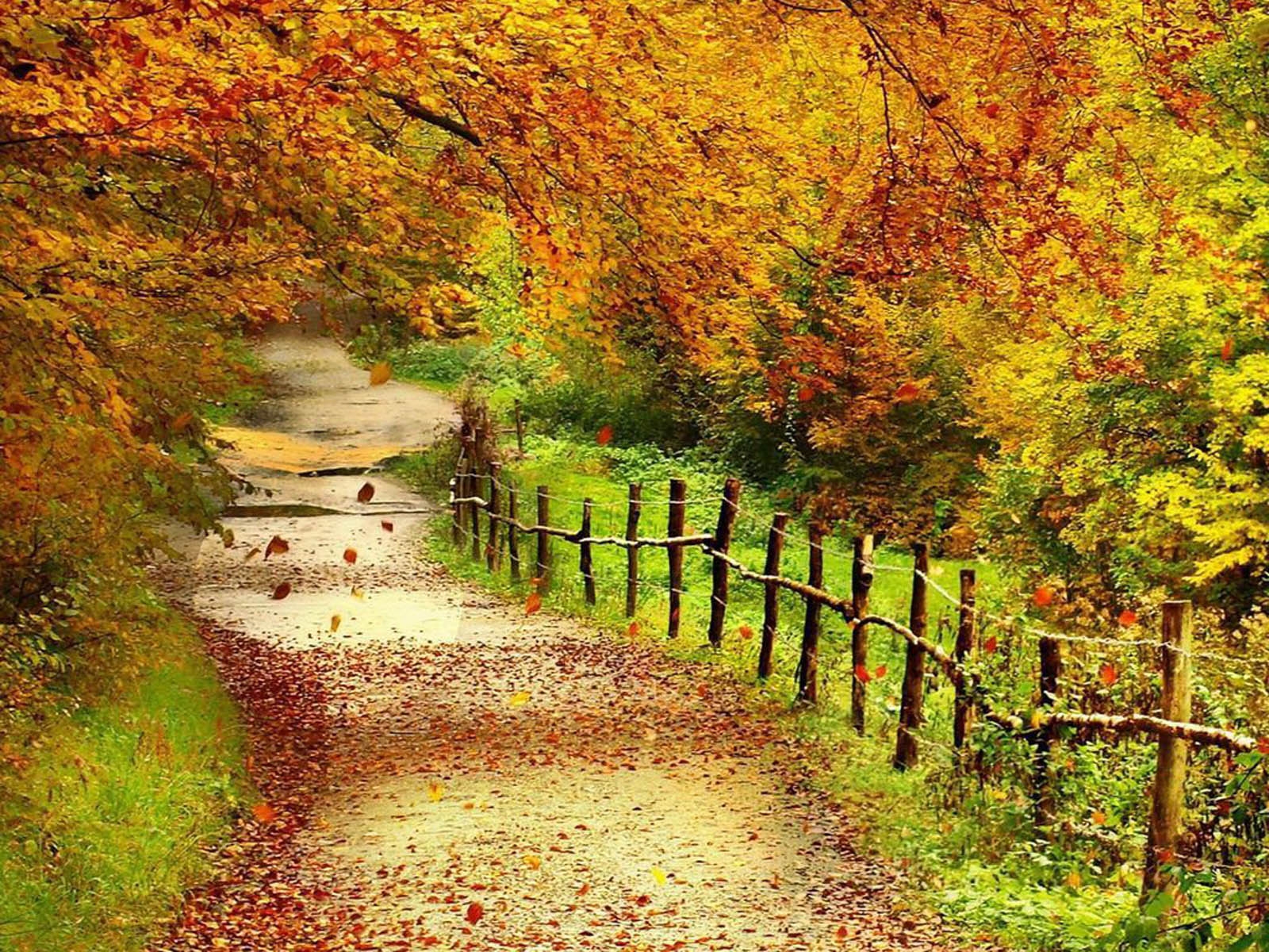  40 Free Desktop Wallpapers Autumn Scenery WallpaperSafari