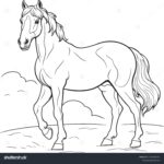 40 Thousand Horse Colour Royalty Free Images Stock Photos Pictures Shutterstock