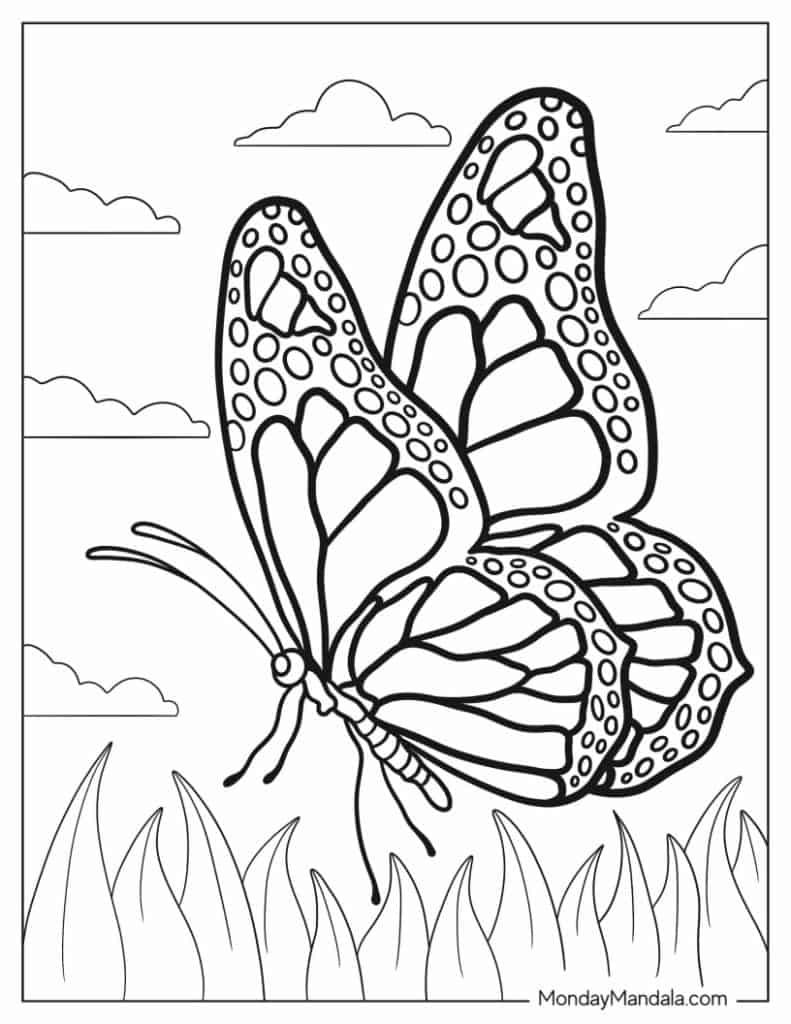 Print Butterfly Coloring Pages