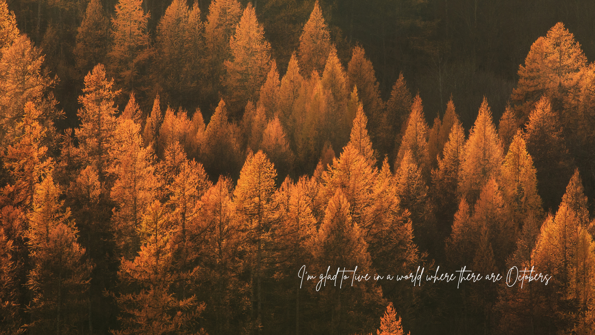 Aesthetic Autumn Computer Wallpapers Wallpaper Cave