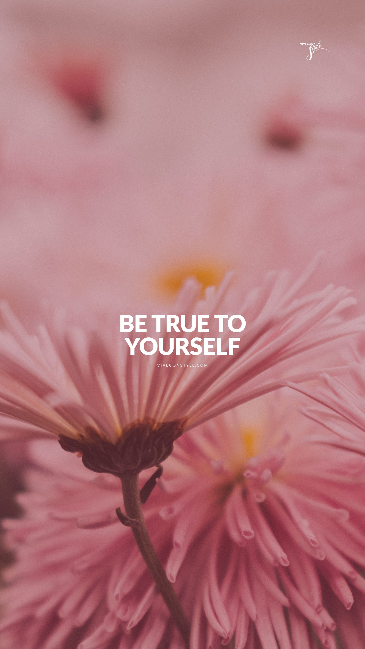 Be True To Yourself Inspirational Quote Wallpaper VIVE CON STYLE Be True To Yourself Inspirational Quote Wallpaper VIVE CON STYLE