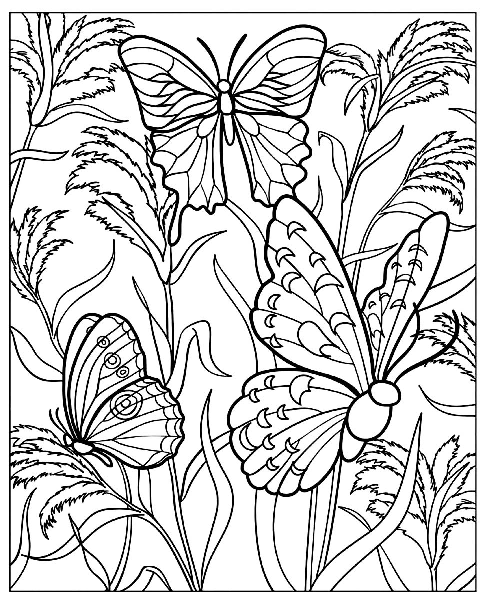 Butterflies Coloring To Download For Free Butterfly Coloring Pages