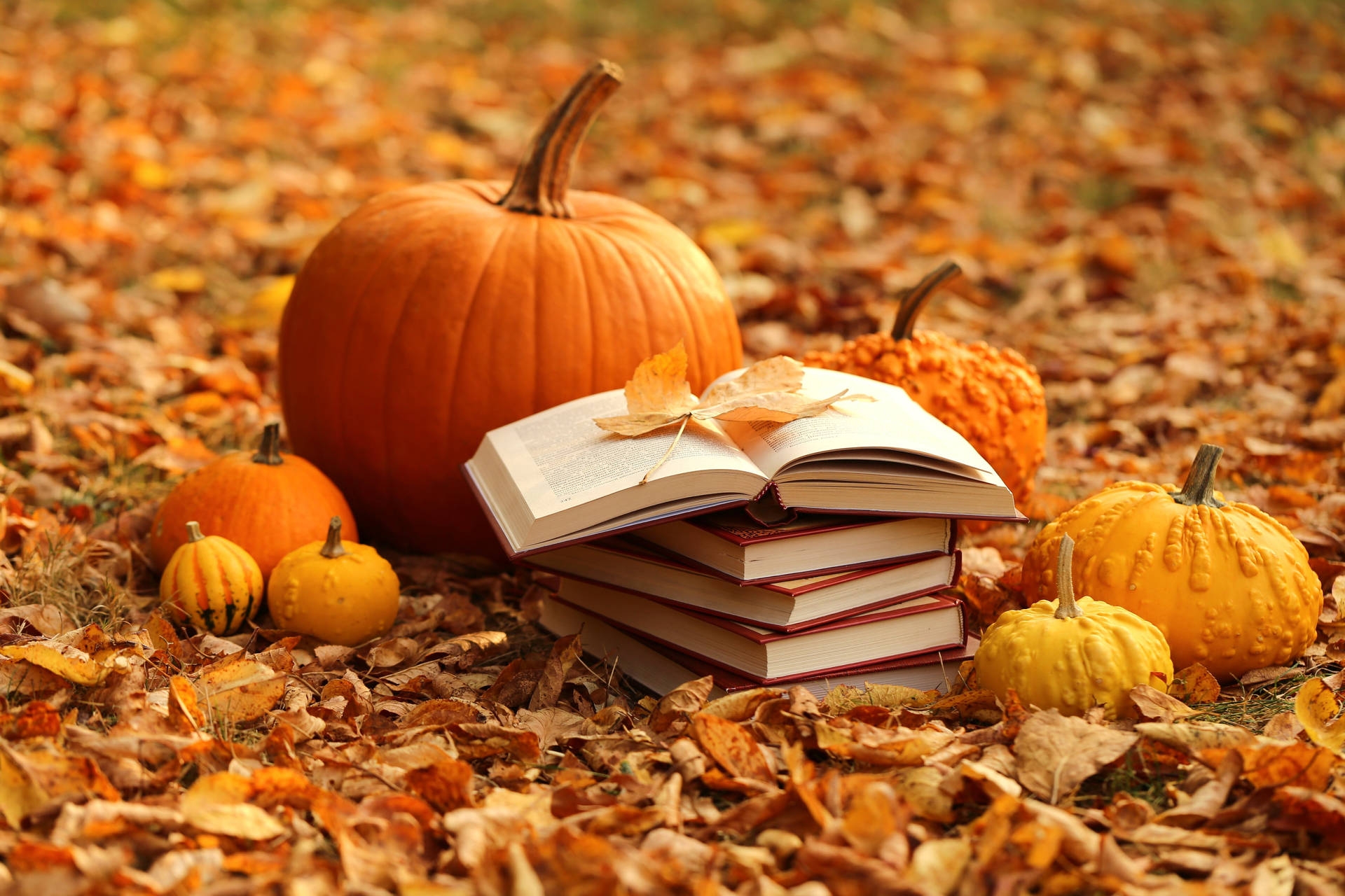 Cozy Fall Desktop Wallpapers Wallpaper Cave