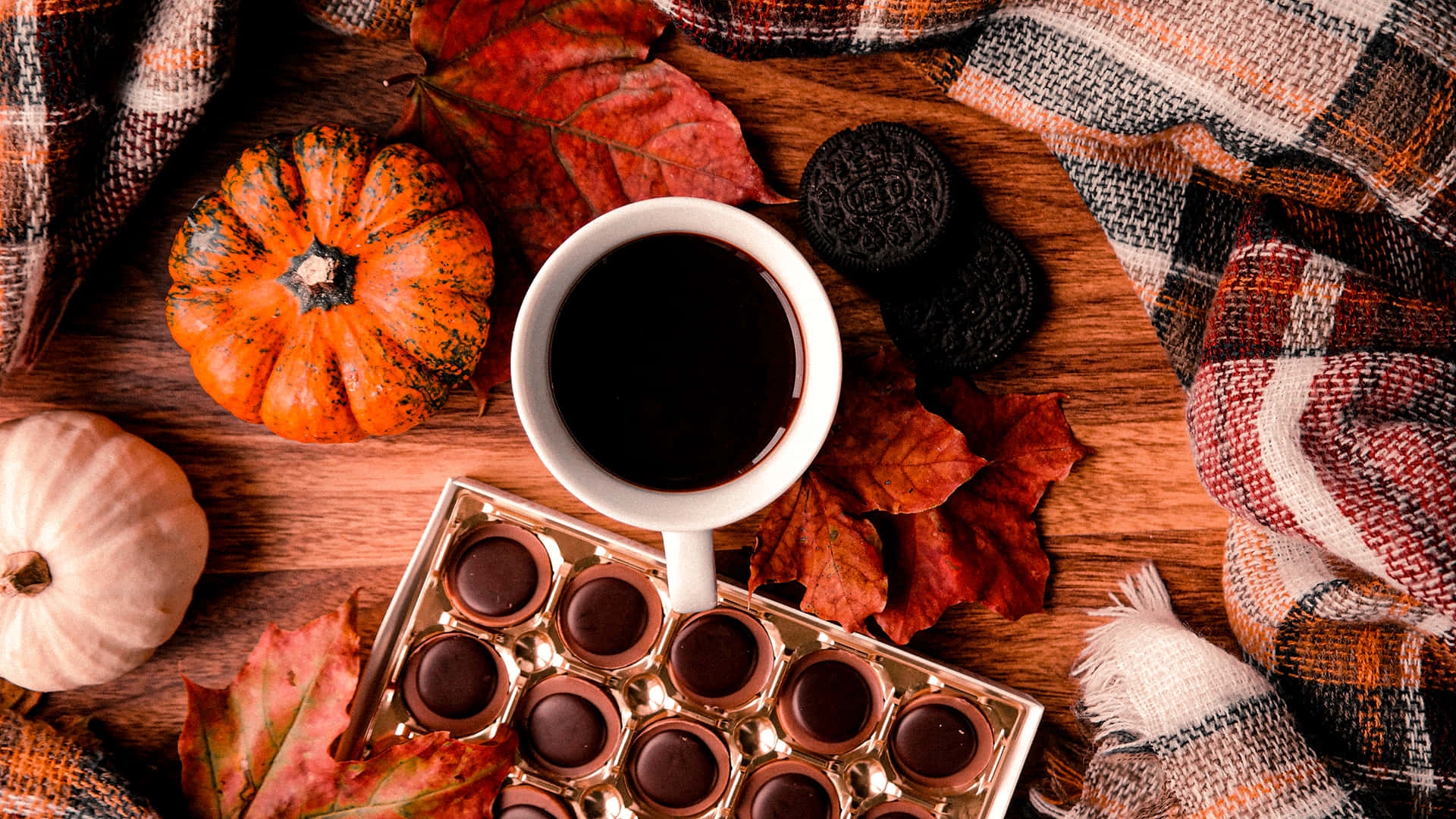 Download Cozy Hot Chocolate Autumn Harvest Aesthetic Wallpaper Wallpapers 