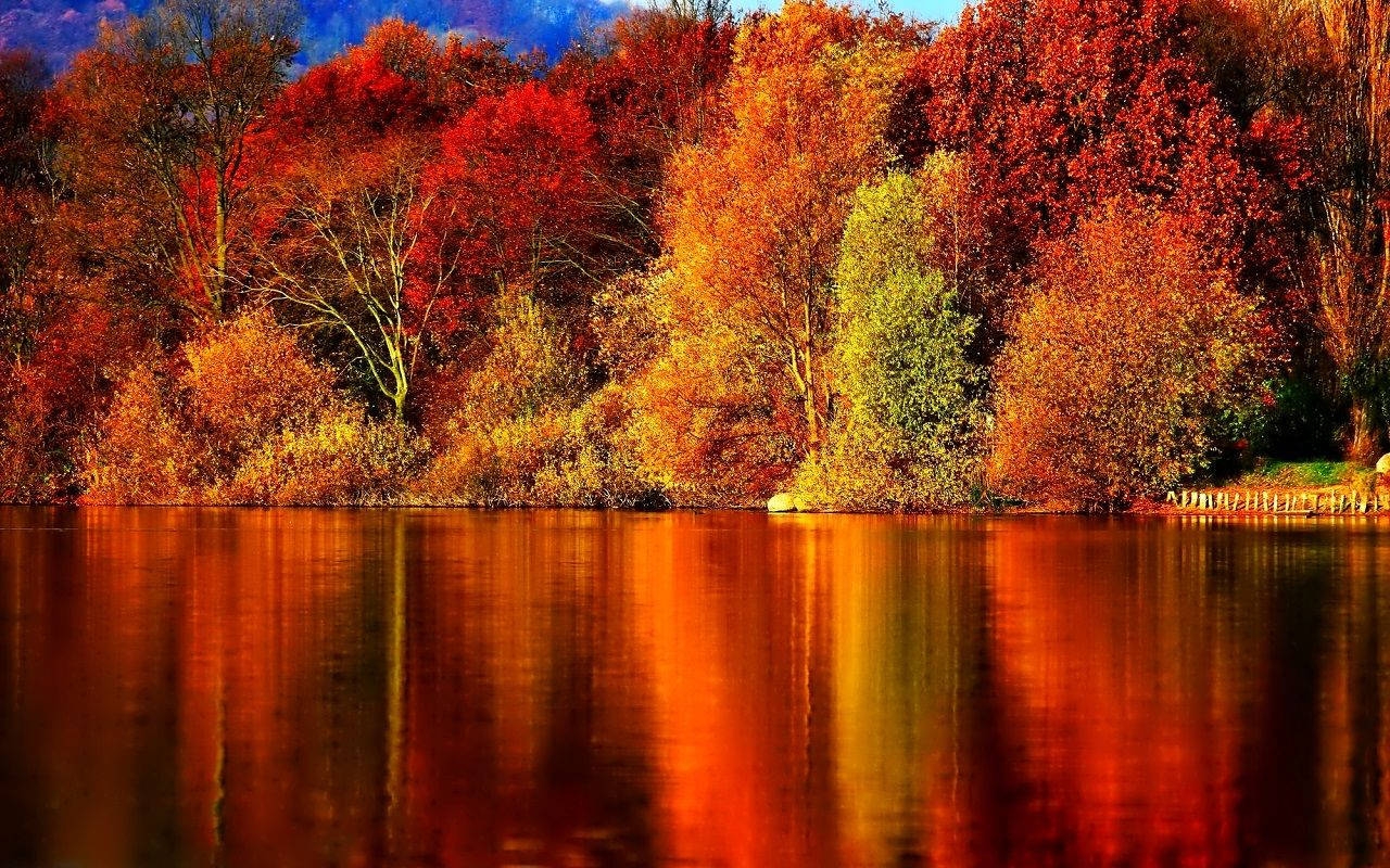 free autumn desktop backgrounds