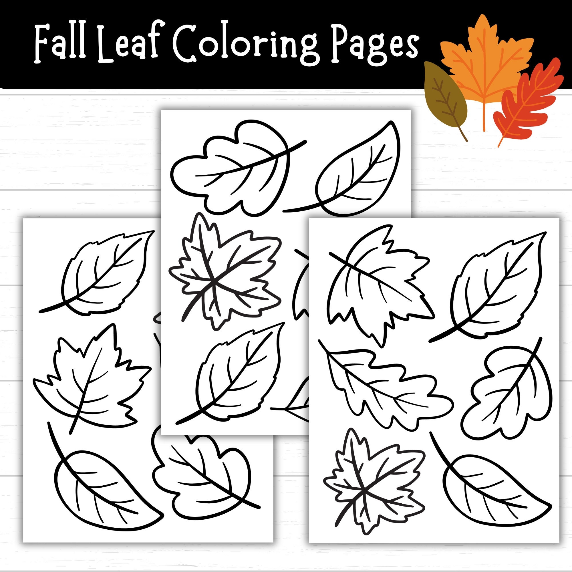 leaf pictures to color