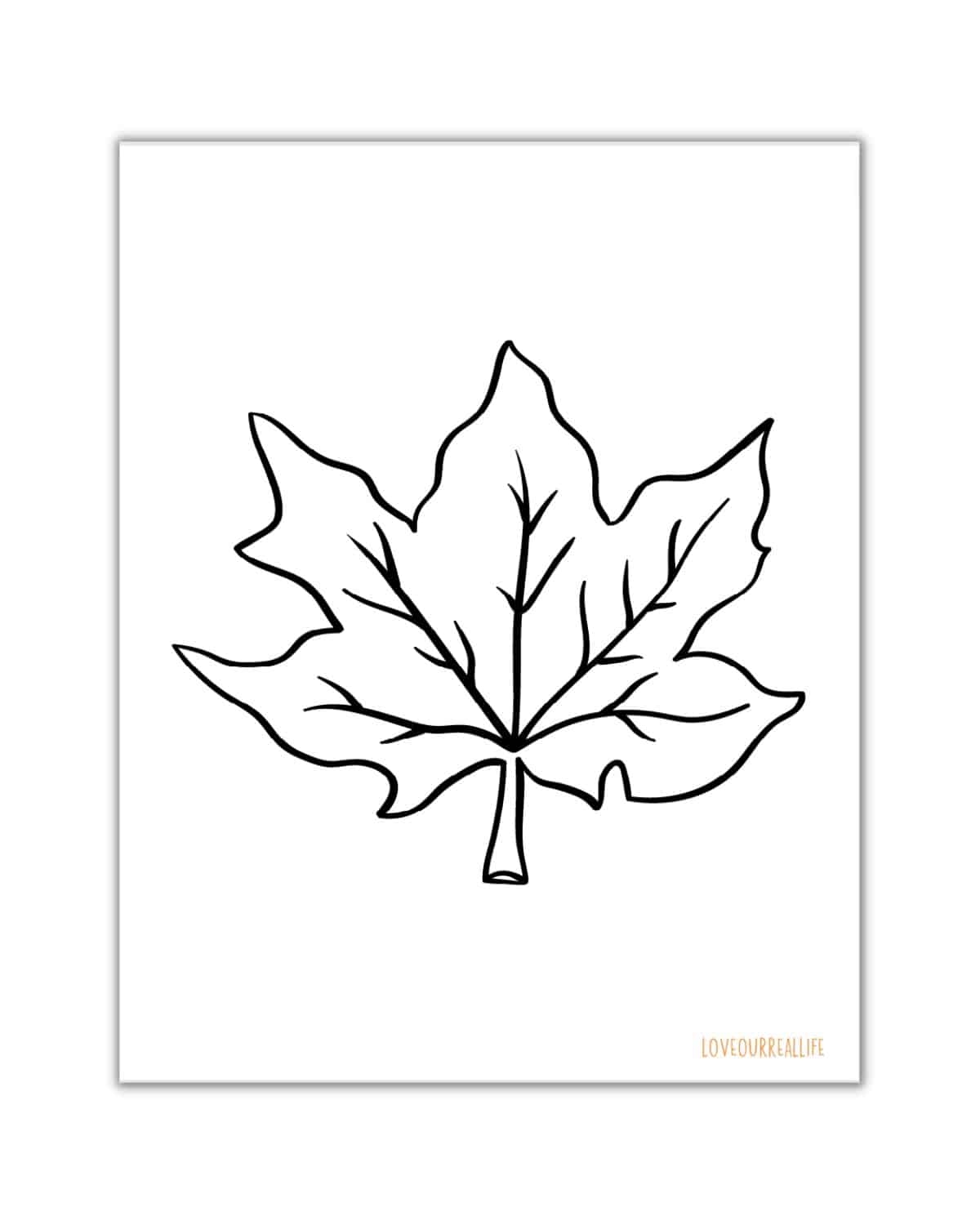 templates of autumn leaves