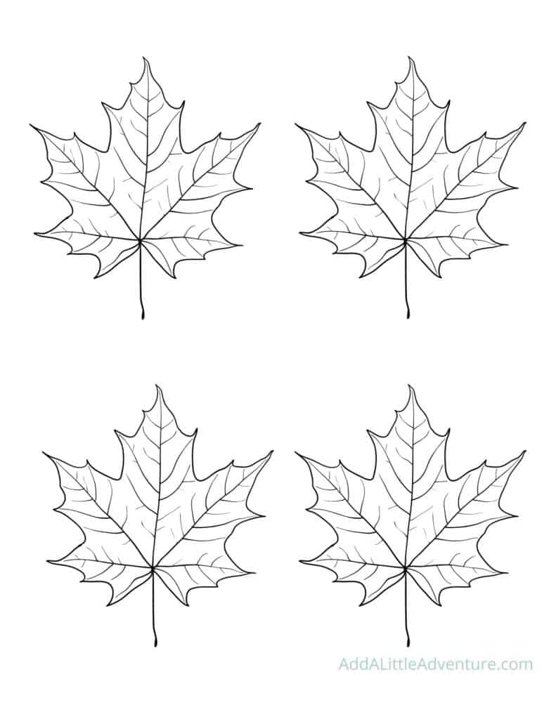 Fall Leaves Printable Outlines And Templates Add A Little Adventure