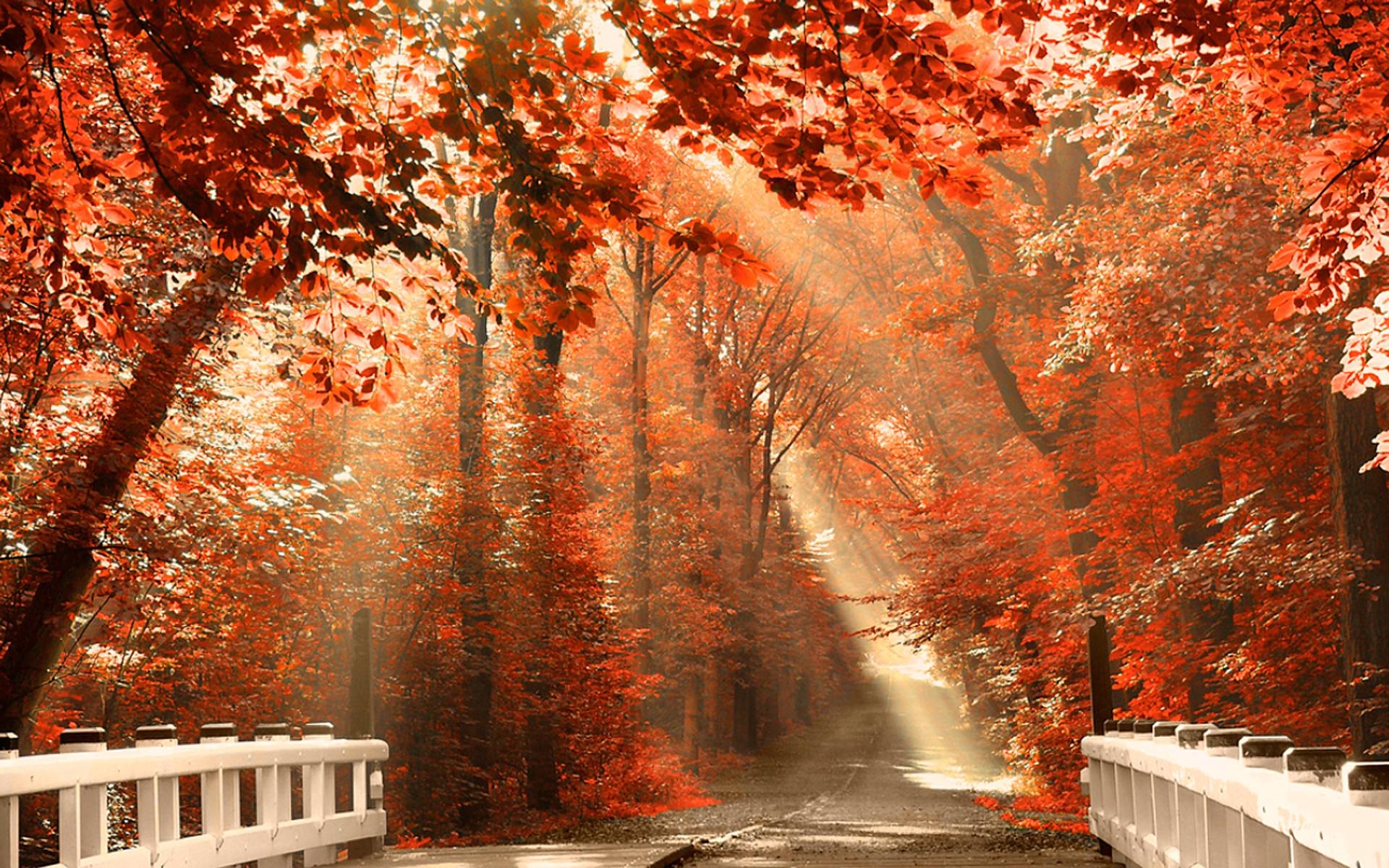fall wallpaper for pc