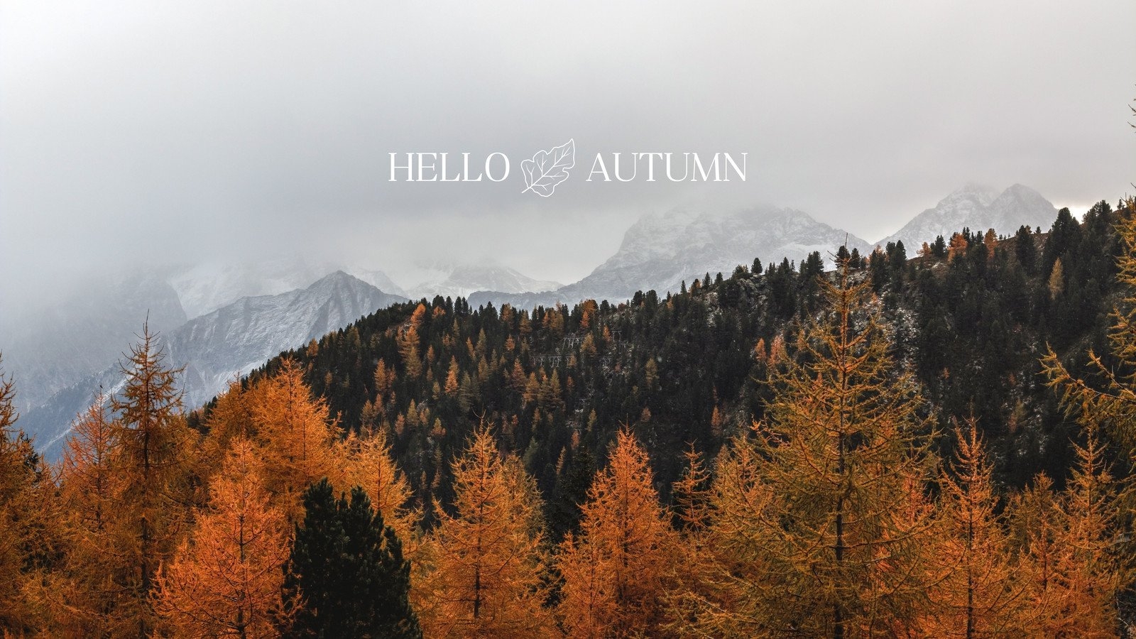 Free Autumn Desktop Backgrounds