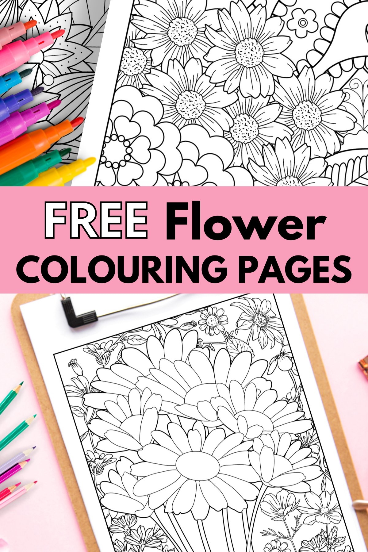 colouring pages for adults printable free