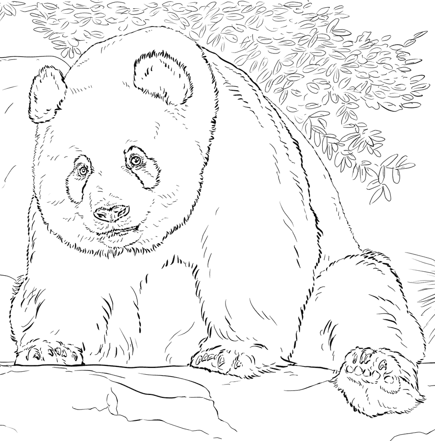 Giant Panda Coloring Page Free Printable