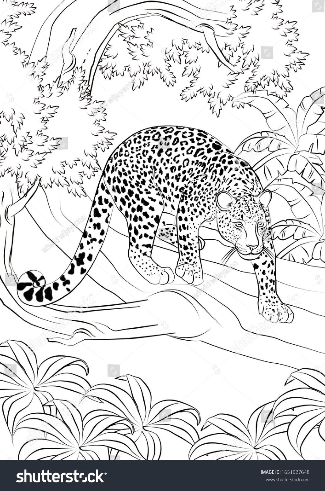 Realistic Wildlife Coloring Pages