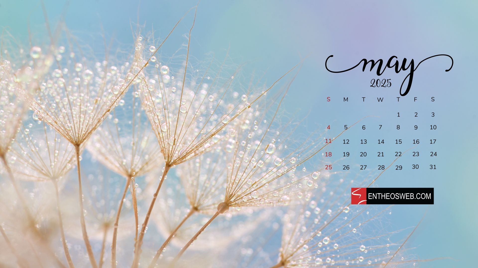 May Desktop Wallpaper 2025