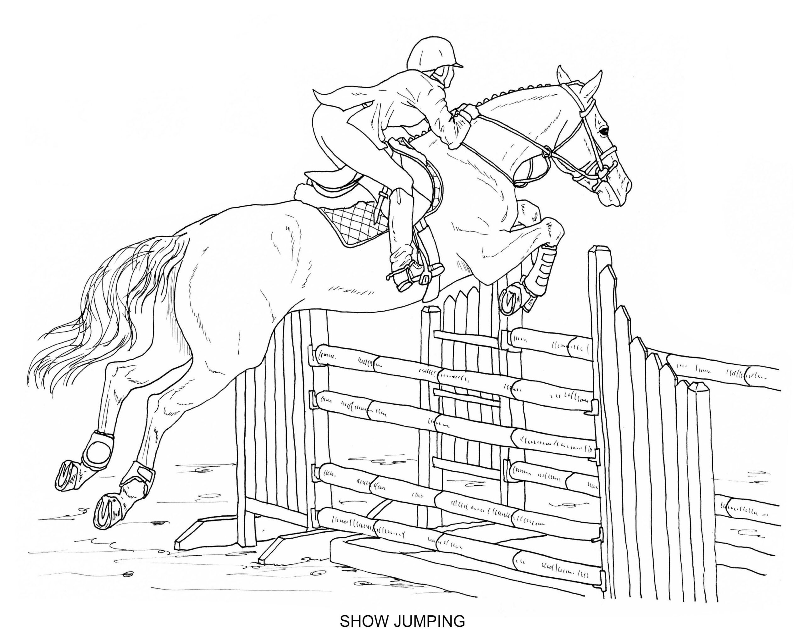 Horse Pictures To Colour And Print