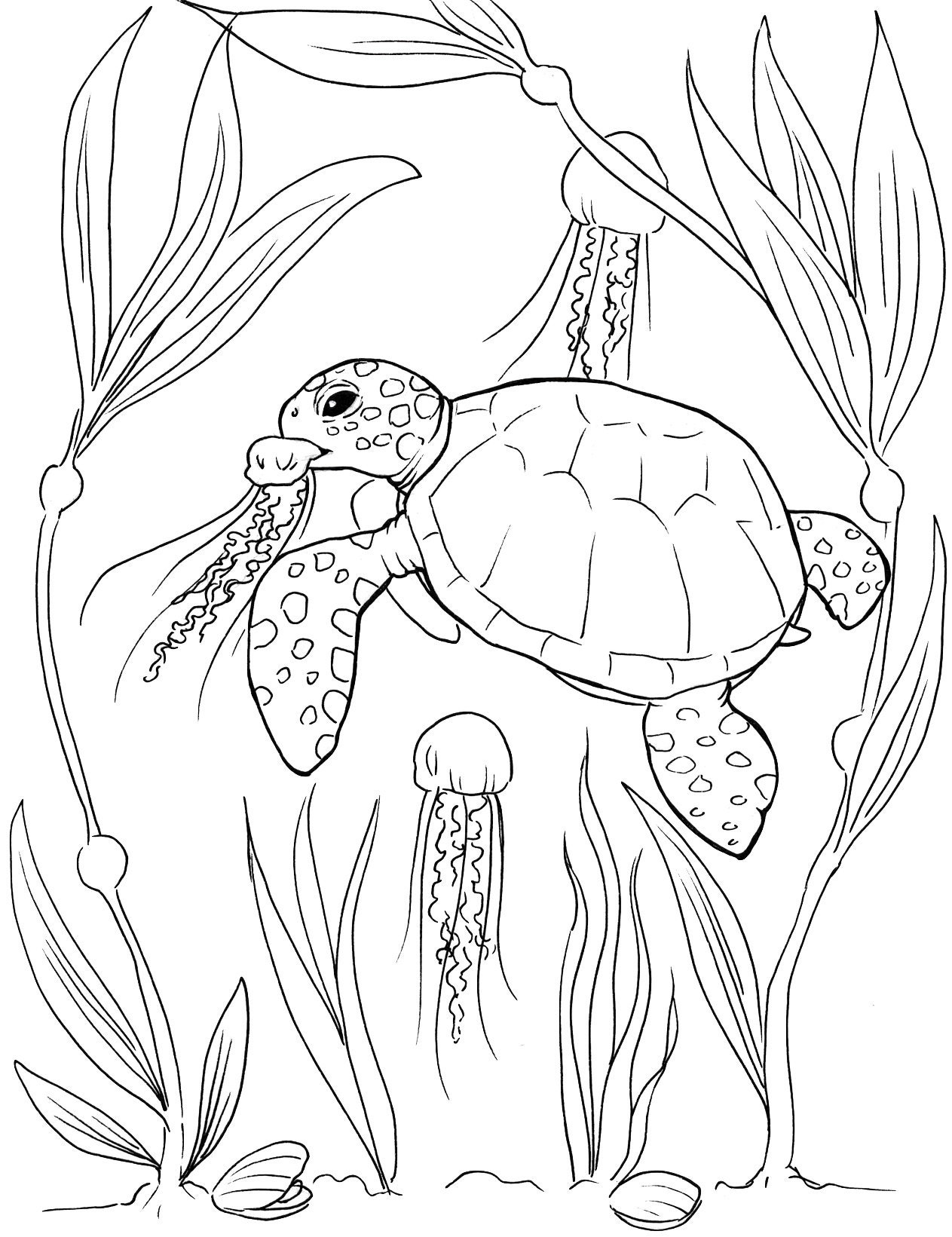 Sea Turtle Coloring Pages Etsy Denmark Sea Turtle Coloring Pages Etsy Denmark