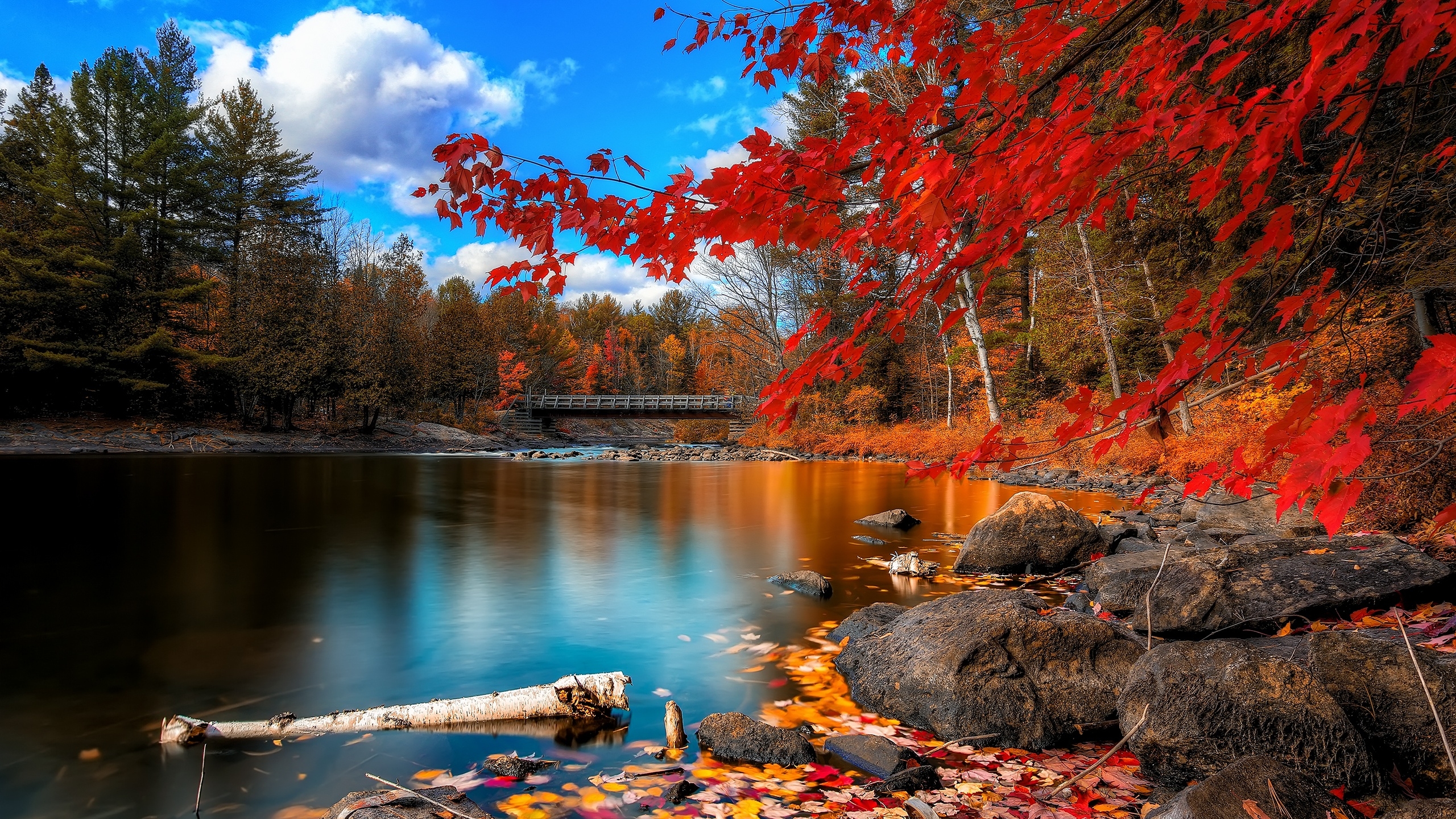 Stunning Fall Nature HD Wallpaper Stunning Fall Nature HD Wallpaper