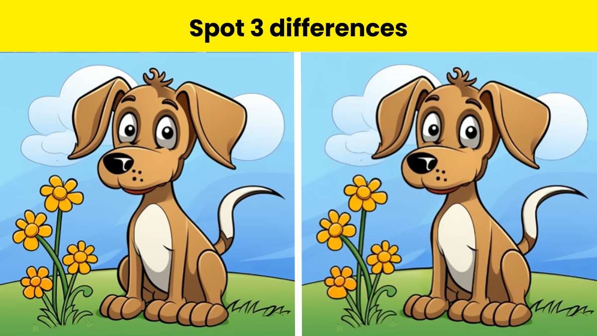 spot the differences games free