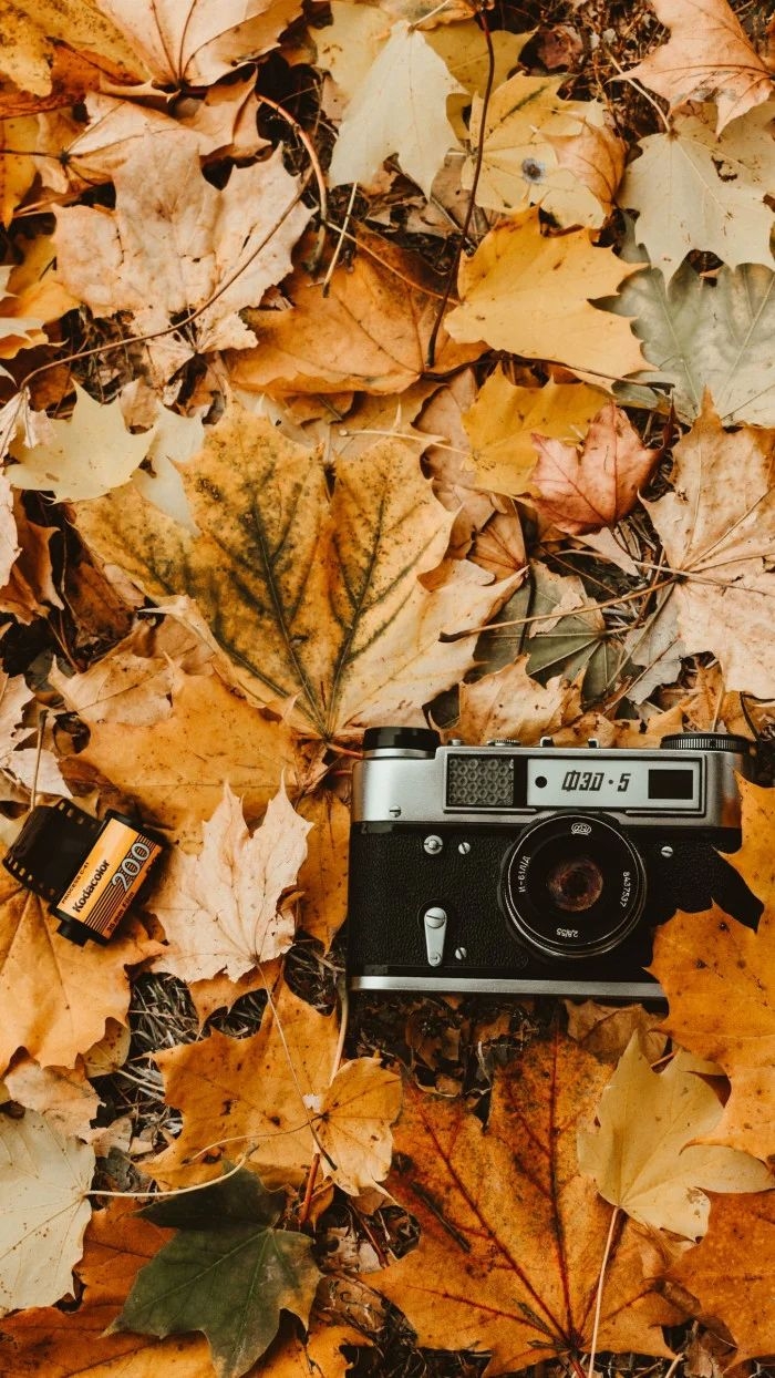 Vintage Fall Wallpapers Wallpaper Cave Vintage Fall Wallpapers Wallpaper Cave